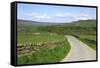 Road in Farndale, North York Moors, North Yorkshire-Peter Thompson-Framed Stretched Canvas