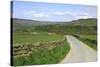 Road in Farndale, North York Moors, North Yorkshire-Peter Thompson-Stretched Canvas