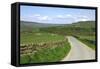 Road in Farndale, North York Moors, North Yorkshire-Peter Thompson-Framed Stretched Canvas