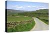 Road in Farndale, North York Moors, North Yorkshire-Peter Thompson-Stretched Canvas