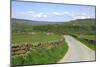 Road in Farndale, North York Moors, North Yorkshire-Peter Thompson-Mounted Photographic Print