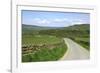 Road in Farndale, North York Moors, North Yorkshire-Peter Thompson-Framed Photographic Print