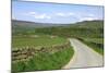 Road in Farndale, North York Moors, North Yorkshire-Peter Thompson-Mounted Photographic Print