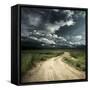 Road in Field and Stormy Clouds-Dudarev Mikhail-Framed Stretched Canvas