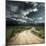 Road in Field and Stormy Clouds-Dudarev Mikhail-Mounted Photographic Print