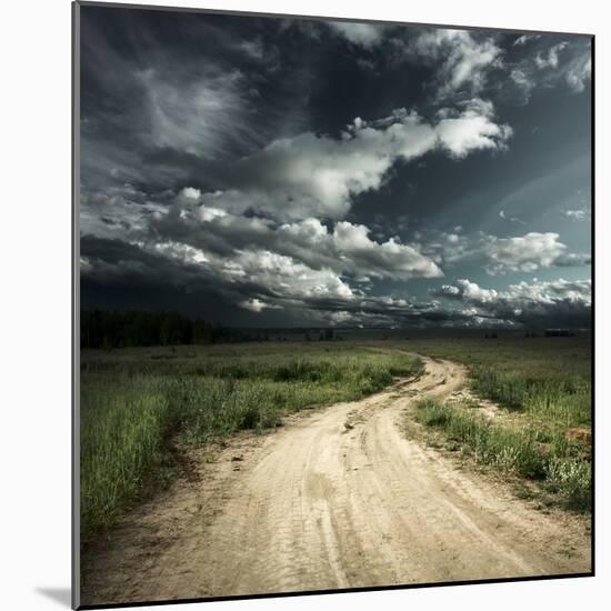 Road in Field and Stormy Clouds-Dudarev Mikhail-Mounted Photographic Print