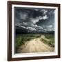 Road in Field and Stormy Clouds-Dudarev Mikhail-Framed Photographic Print