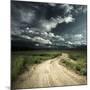 Road in Field and Stormy Clouds-Dudarev Mikhail-Mounted Photographic Print