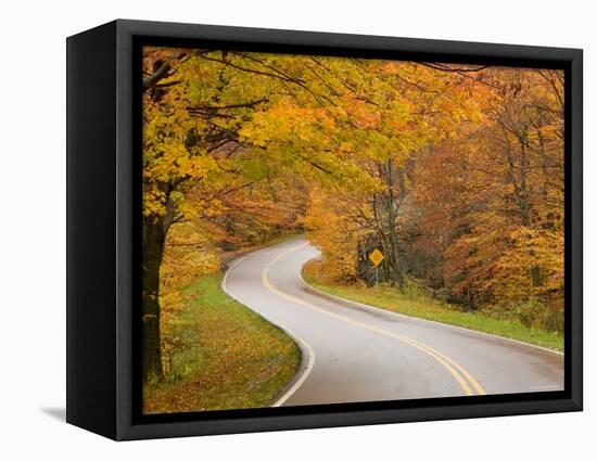 Road in Forest, Vermont, New England, USA-Demetrio Carrasco-Framed Stretched Canvas