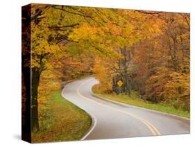 Road in Forest, Vermont, New England, USA-Demetrio Carrasco-Stretched Canvas