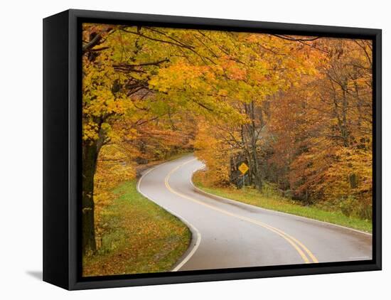 Road in Forest, Vermont, New England, USA-Demetrio Carrasco-Framed Stretched Canvas