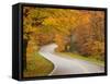 Road in Forest, Vermont, New England, USA-Demetrio Carrasco-Framed Stretched Canvas