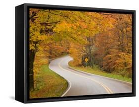 Road in Forest, Vermont, New England, USA-Demetrio Carrasco-Framed Stretched Canvas