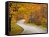 Road in Forest, Vermont, New England, USA-Demetrio Carrasco-Framed Stretched Canvas