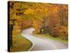 Road in Forest, Vermont, New England, USA-Demetrio Carrasco-Stretched Canvas