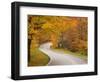 Road in Forest, Vermont, New England, USA-Demetrio Carrasco-Framed Photographic Print