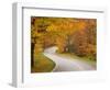 Road in Forest, Vermont, New England, USA-Demetrio Carrasco-Framed Photographic Print