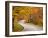 Road in Forest, Vermont, New England, USA-Demetrio Carrasco-Framed Photographic Print