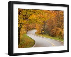 Road in Forest, Vermont, New England, USA-Demetrio Carrasco-Framed Photographic Print