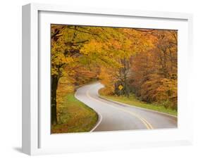 Road in Forest, Vermont, New England, USA-Demetrio Carrasco-Framed Photographic Print