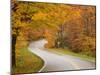 Road in Forest, Vermont, New England, USA-Demetrio Carrasco-Mounted Photographic Print