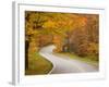 Road in Forest, Vermont, New England, USA-Demetrio Carrasco-Framed Photographic Print