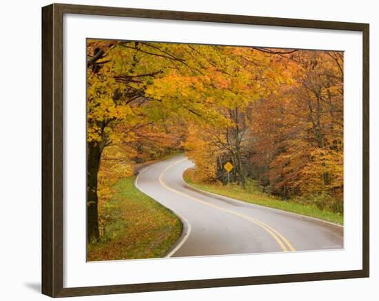 Road in Forest, Vermont, New England, USA-Demetrio Carrasco-Framed Photographic Print