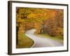 Road in Forest, Vermont, New England, USA-Demetrio Carrasco-Framed Photographic Print