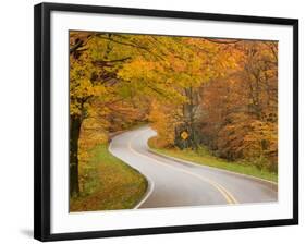 Road in Forest, Vermont, New England, USA-Demetrio Carrasco-Framed Photographic Print