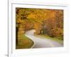 Road in Forest, Vermont, New England, USA-Demetrio Carrasco-Framed Photographic Print