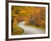 Road in Forest, Vermont, New England, USA-Demetrio Carrasco-Framed Photographic Print