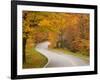 Road in Forest, Vermont, New England, USA-Demetrio Carrasco-Framed Photographic Print