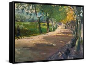 Road in Godramstein, 1909-Max Slevogt-Framed Stretched Canvas