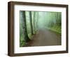 Road in Great Smoky Mountains National Park-Darrell Gulin-Framed Photographic Print