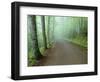 Road in Great Smoky Mountains National Park-Darrell Gulin-Framed Photographic Print