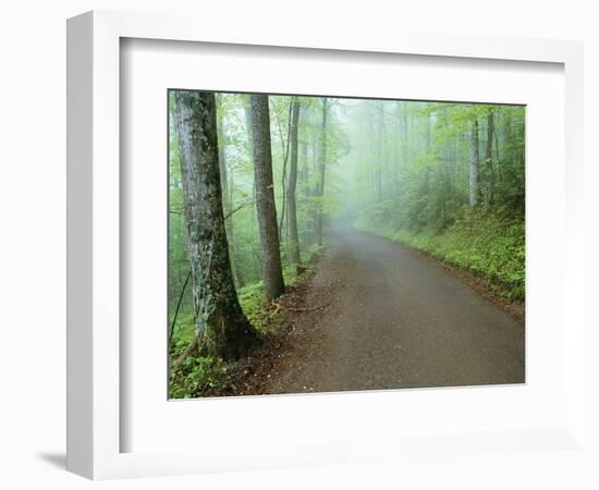 Road in Great Smoky Mountains National Park-Darrell Gulin-Framed Photographic Print