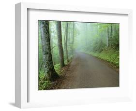 Road in Great Smoky Mountains National Park-Darrell Gulin-Framed Photographic Print