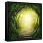 Road in Magic Dark Forest-egal-Framed Stretched Canvas