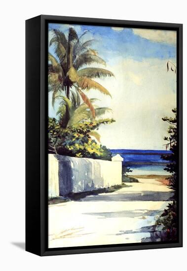 Road in Nassau, 1898-99-Winslow Homer-Framed Stretched Canvas