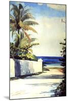 Road in Nassau, 1898-99-Winslow Homer-Mounted Giclee Print