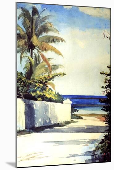 Road in Nassau, 1898-99-Winslow Homer-Mounted Giclee Print