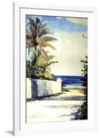 Road in Nassau, 1898-99-Winslow Homer-Framed Giclee Print