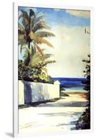 Road in Nassau, 1898-99-Winslow Homer-Framed Giclee Print