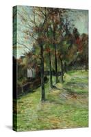 Road in Rouen, II, 1885-Paul Gauguin-Stretched Canvas