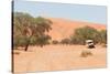 Road in the Sossusvlei, the Famous Red Dunes of Namib Desert-Micha Klootwijk-Stretched Canvas