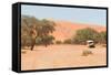 Road in the Sossusvlei, the Famous Red Dunes of Namib Desert-Micha Klootwijk-Framed Stretched Canvas