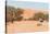 Road in the Sossusvlei, the Famous Red Dunes of Namib Desert-Micha Klootwijk-Stretched Canvas