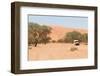 Road in the Sossusvlei, the Famous Red Dunes of Namib Desert-Micha Klootwijk-Framed Photographic Print