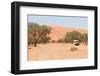 Road in the Sossusvlei, the Famous Red Dunes of Namib Desert-Micha Klootwijk-Framed Photographic Print