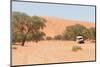 Road in the Sossusvlei, the Famous Red Dunes of Namib Desert-Micha Klootwijk-Mounted Photographic Print